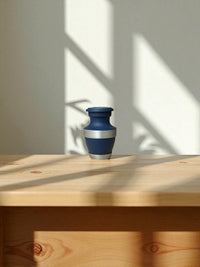 ANS 04 BLU