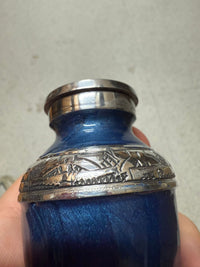 ANS-13 BL